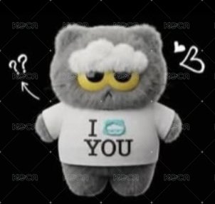 I ZOA YOU（無盒）