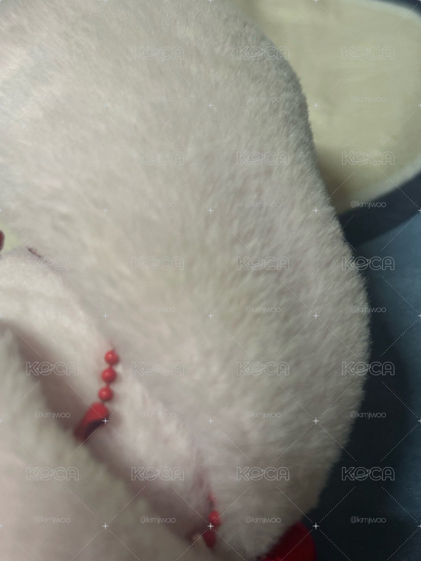 一代員娃 沒有小卡、有損、髒污p345 ✅