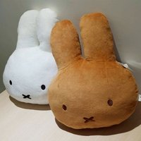 中娃 