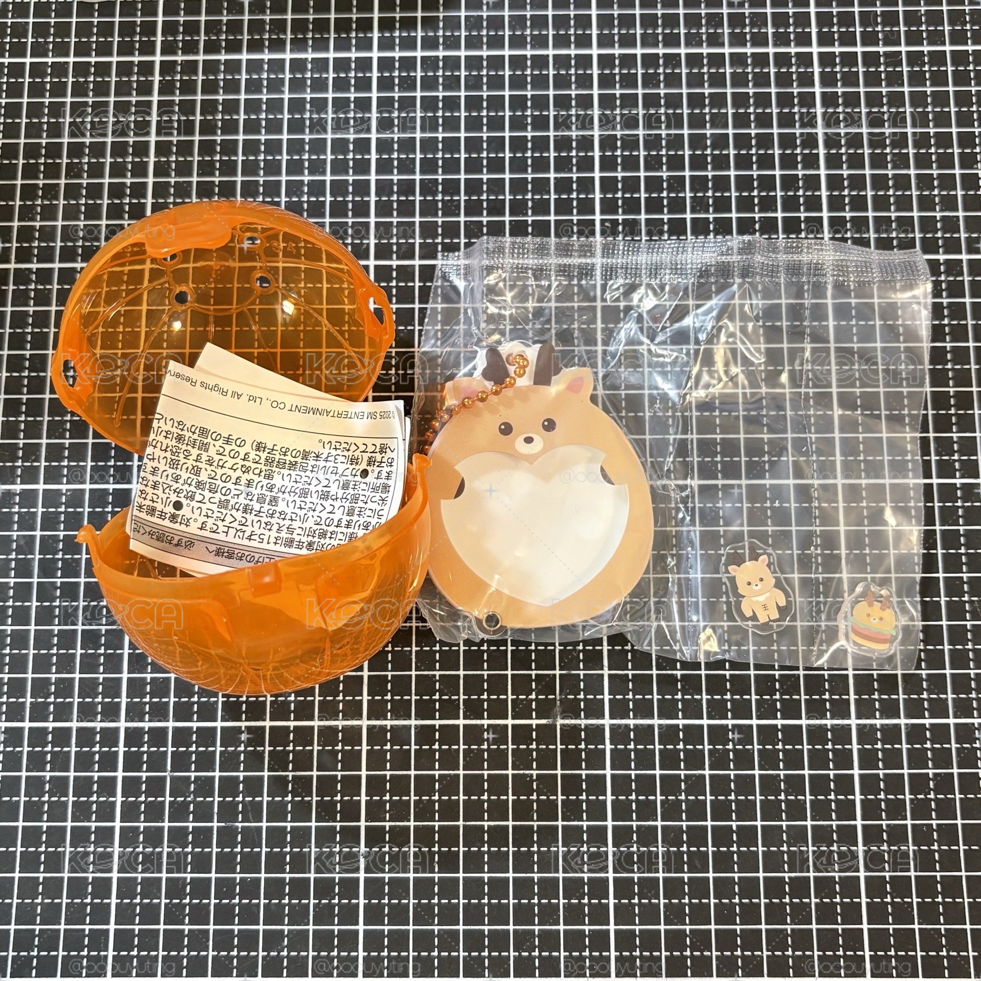RIIZE 扭蛋 成燦