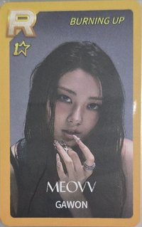 SSTBL 遊戲卡 