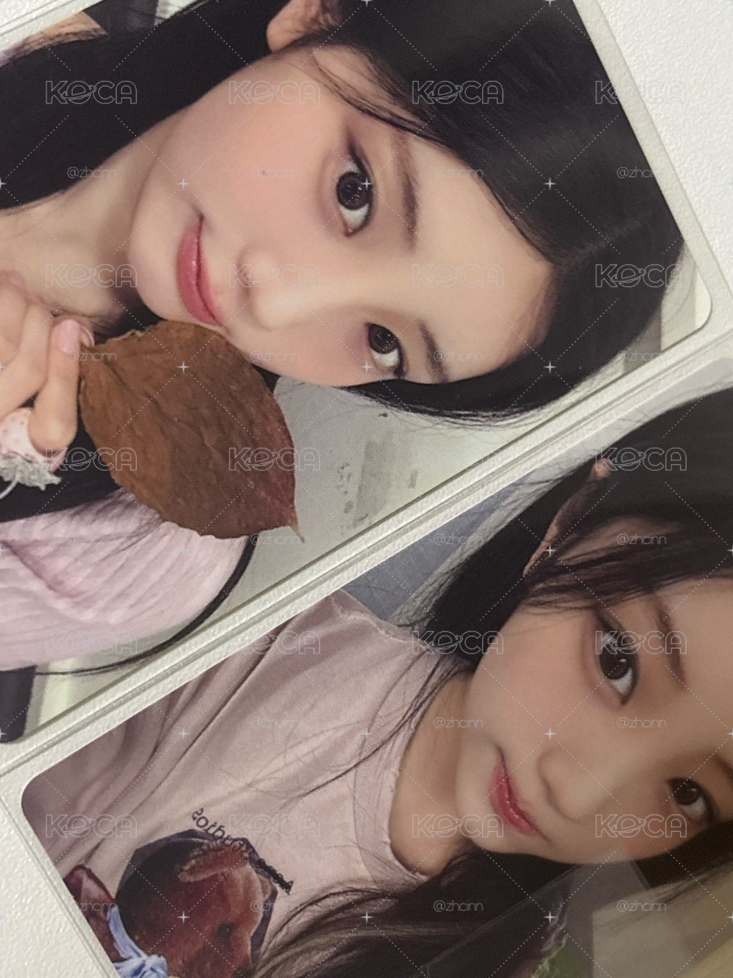 楓葉、四葉草