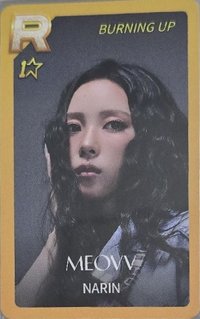 SSTBL 遊戲卡 