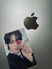 韓振