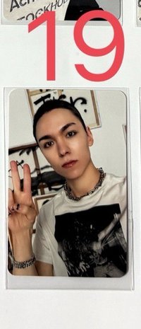 率19