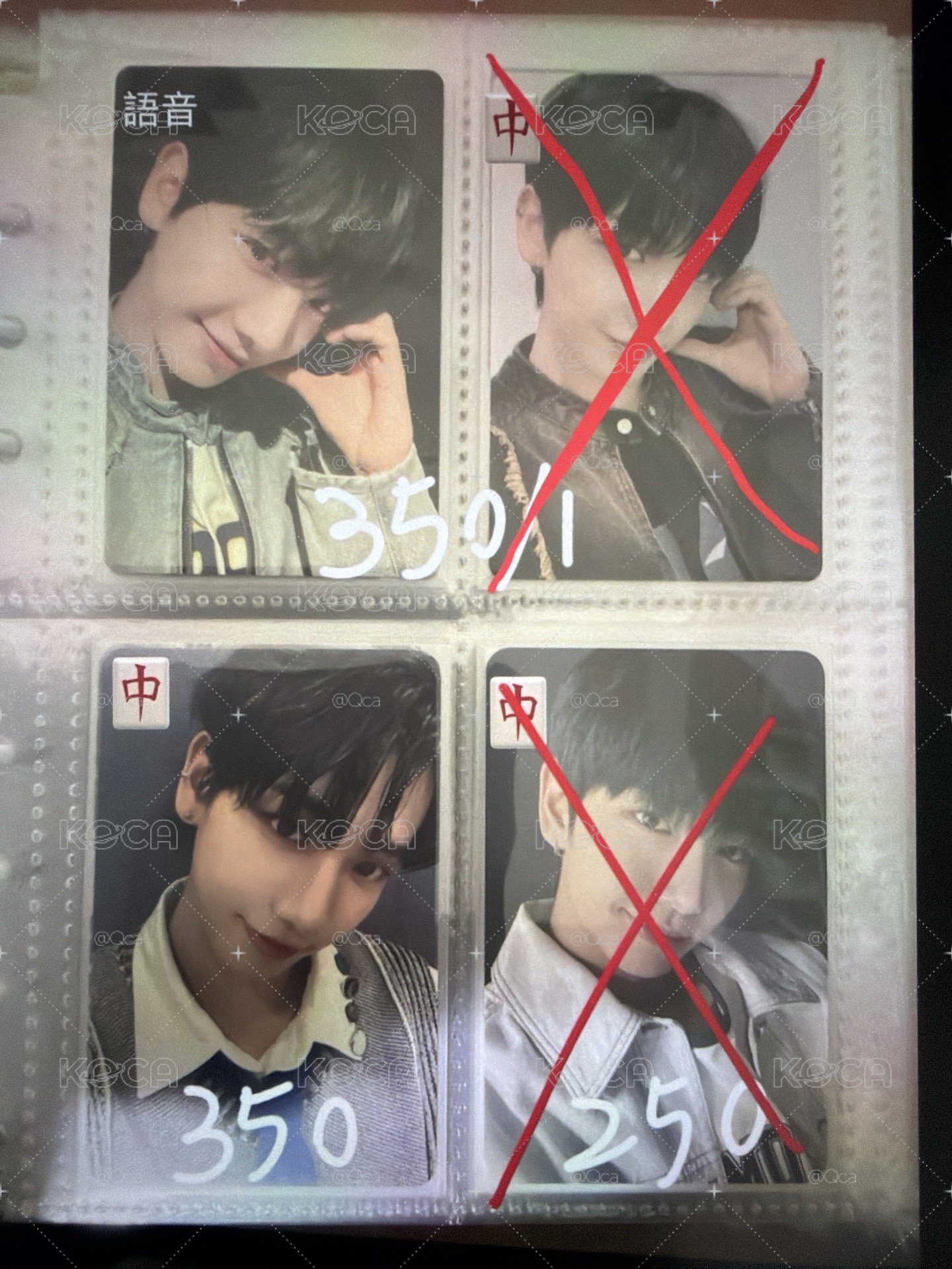 波內豆3盤1少量 