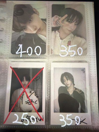 波內豆3盤1少量 