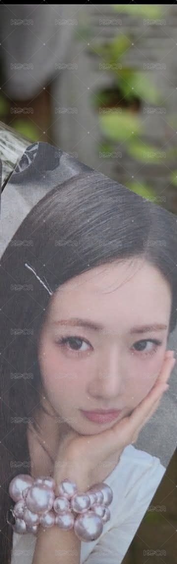 茶