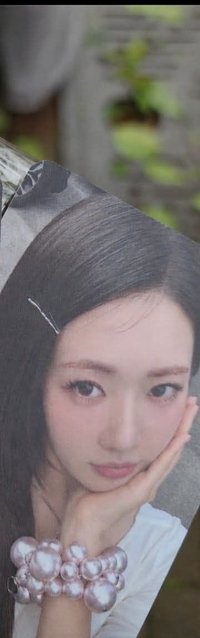 茶