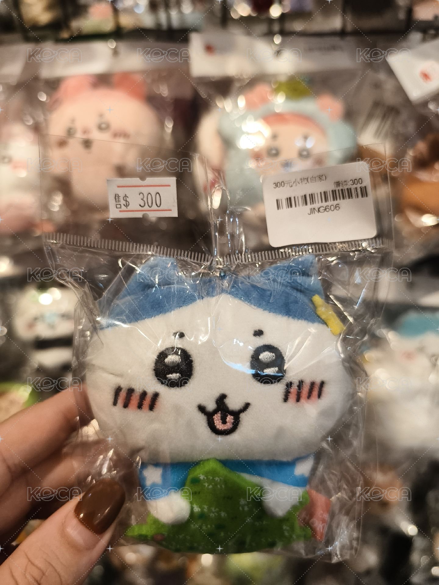 北海道小八