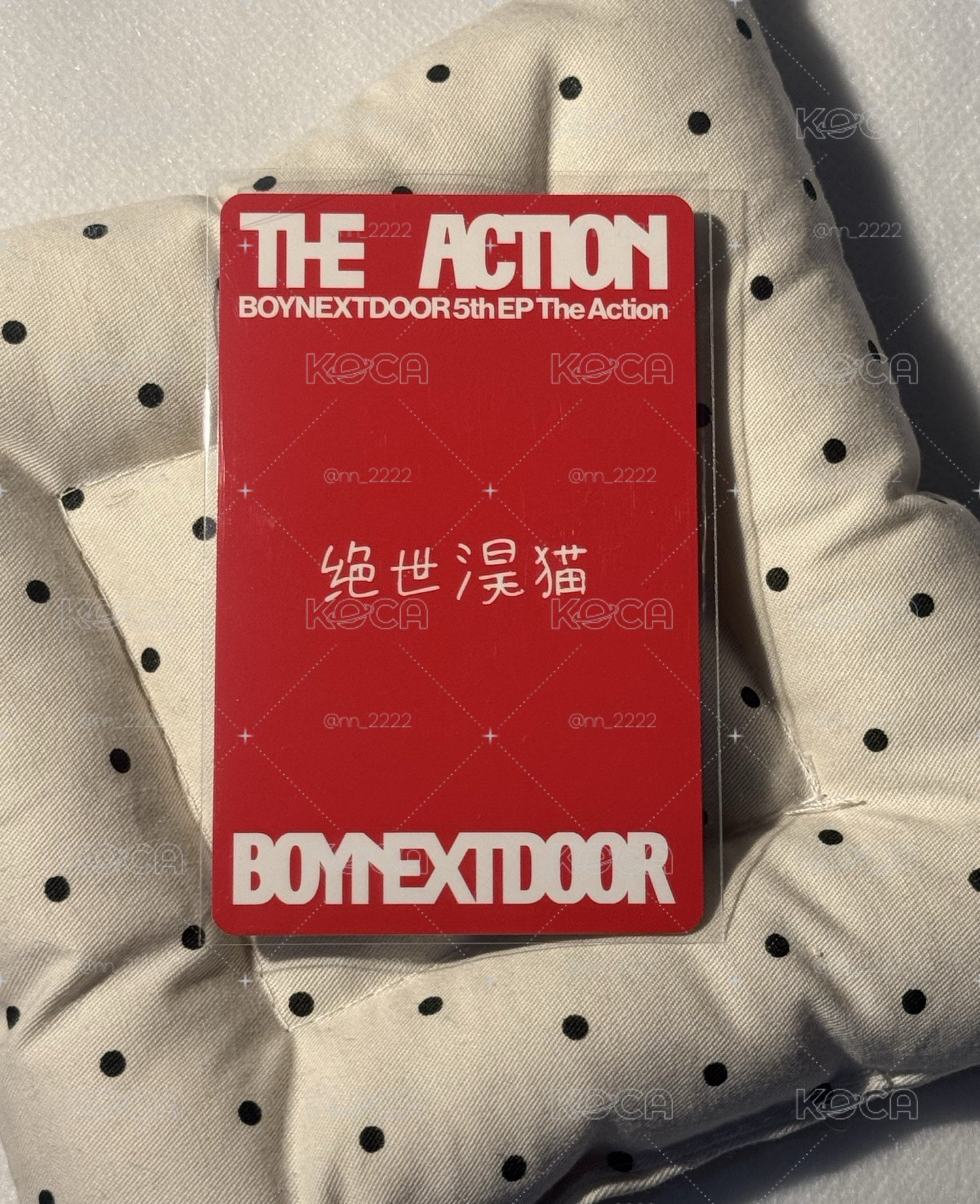 絕世淏貓