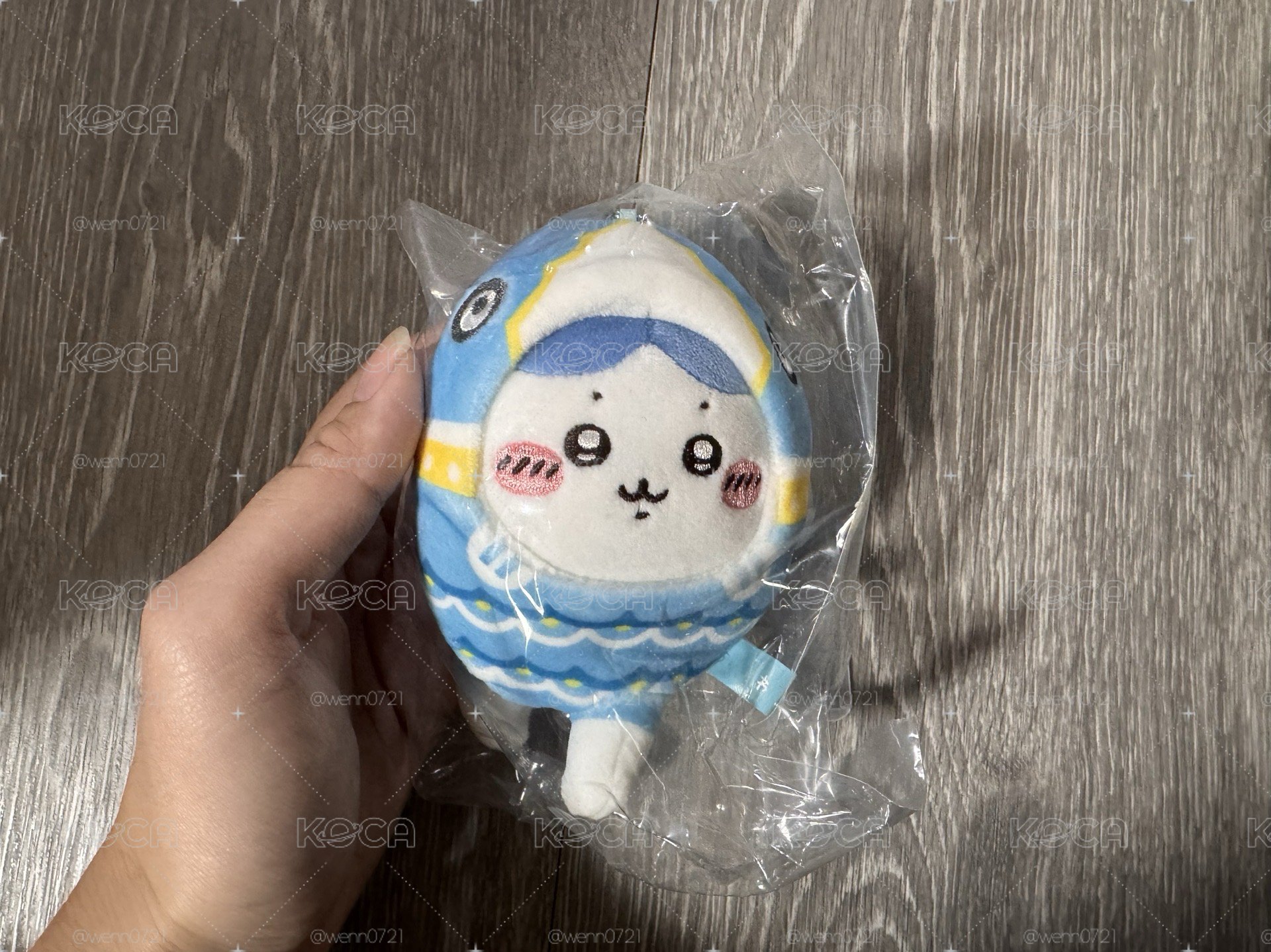 鯉魚小八