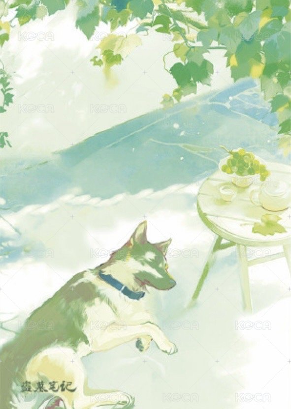 夏遇暖秋 夏日微光 拍立得  背面