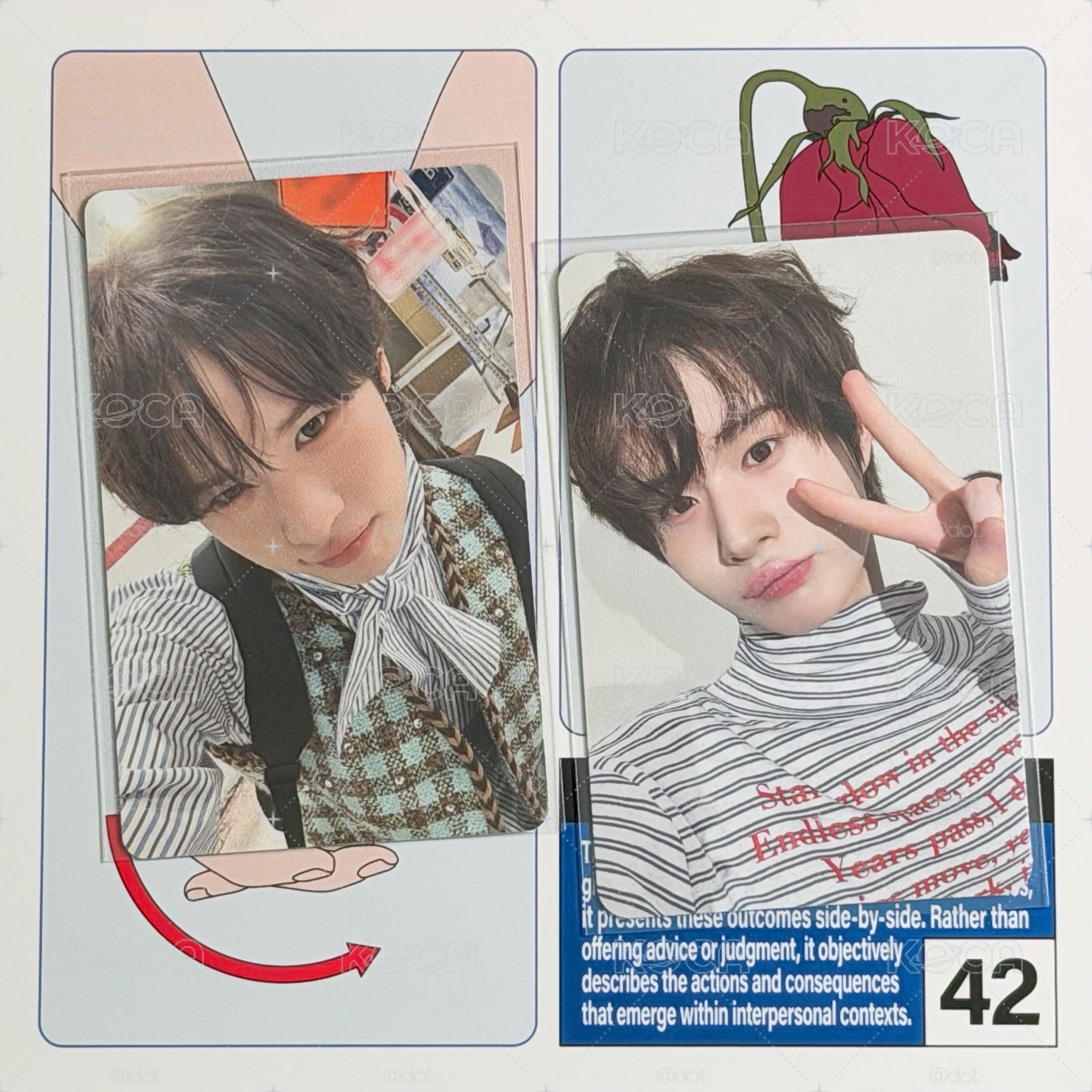 🐥 wvs特典+專卡