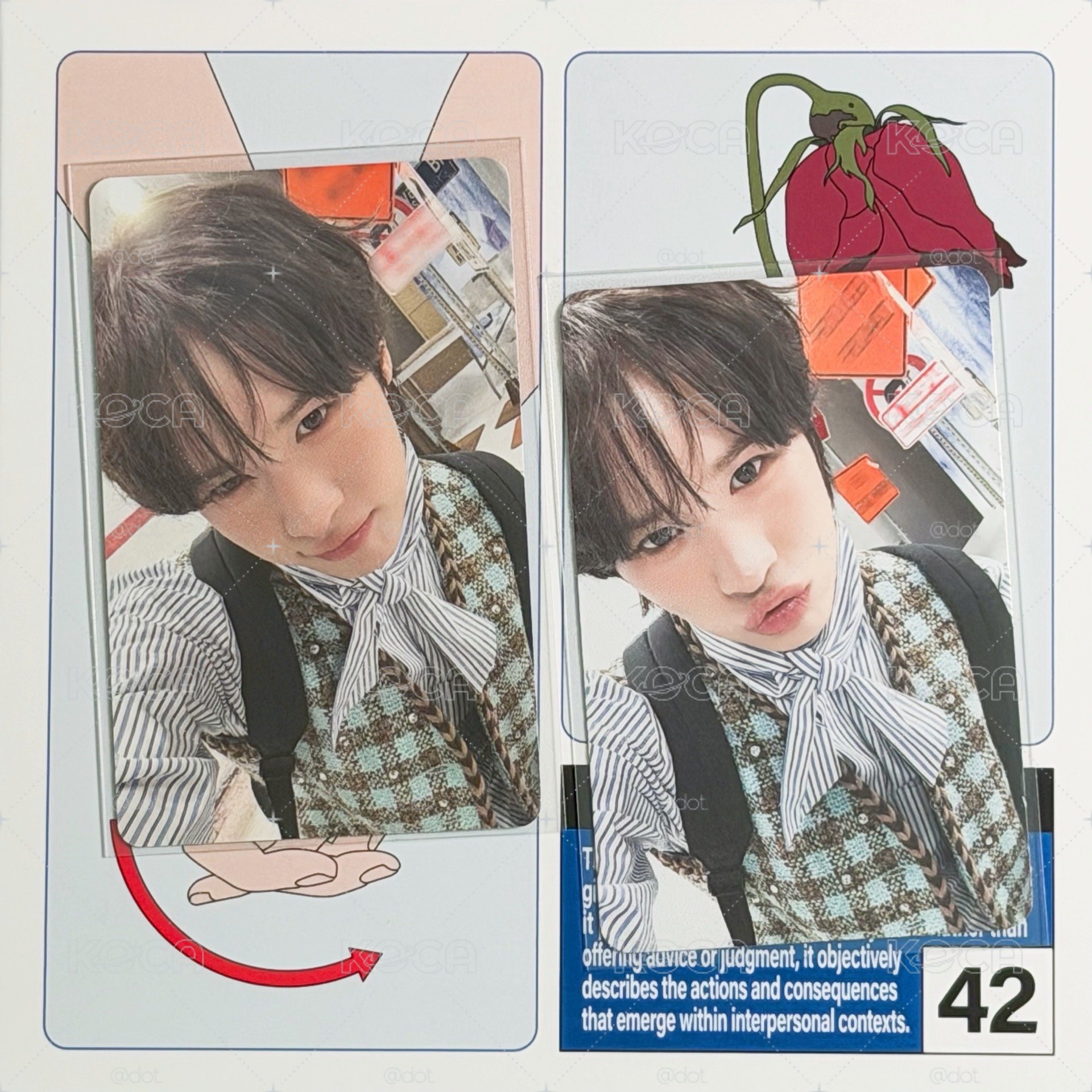 🐥 wvs特典+專卡