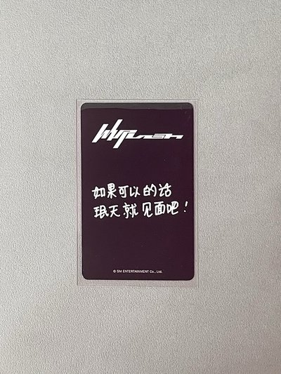 中背眼鏡小豬柚