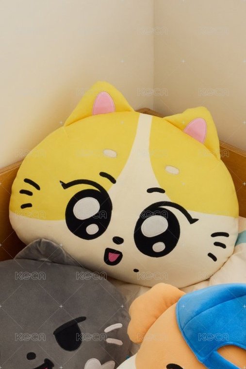 抱枕WONCHU