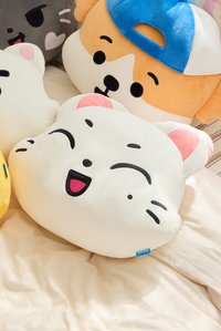 抱枕KISHU