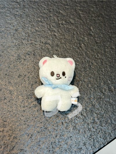 skzoo辰飛行娃