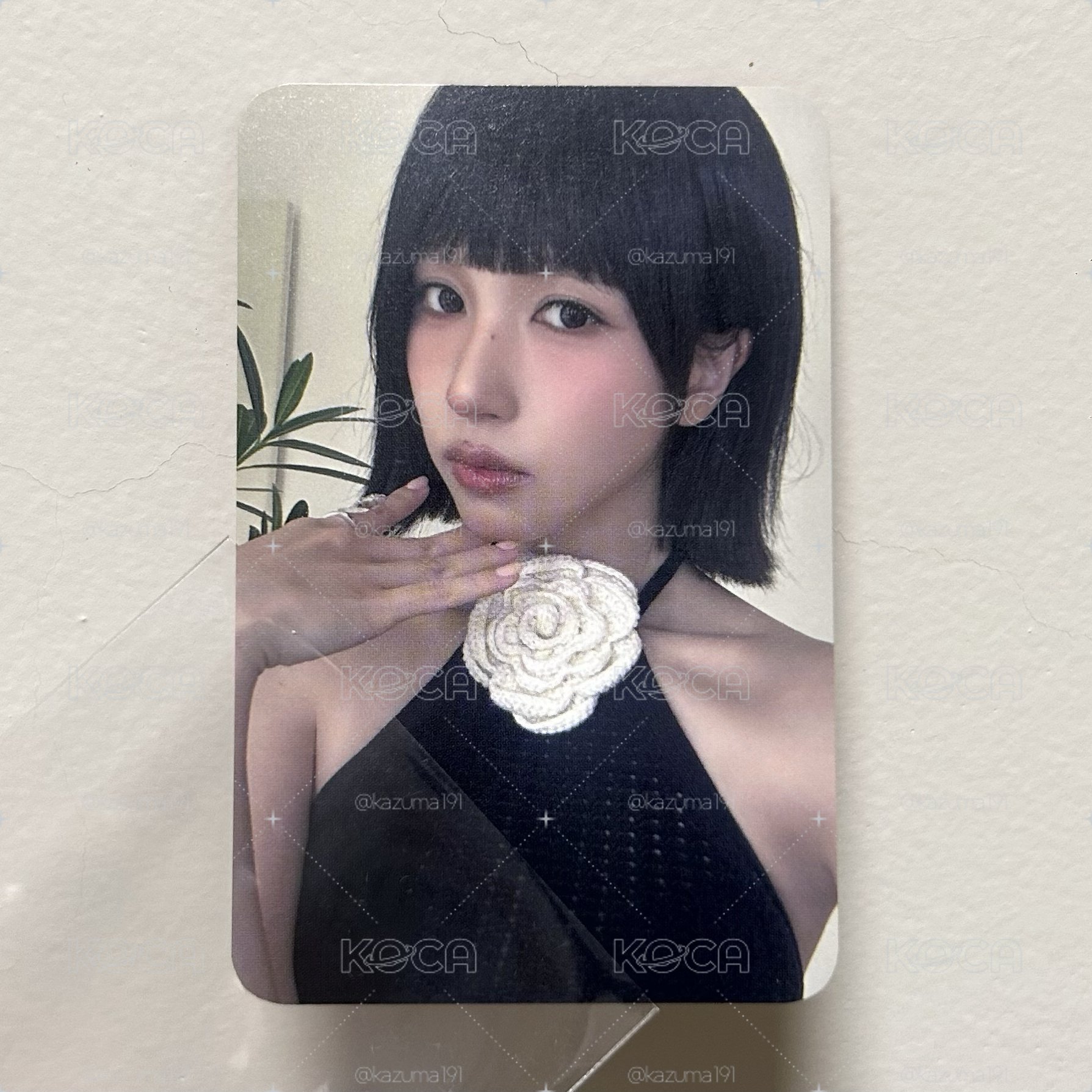 迷14 bdm Mina 特典卡 團封 ver.