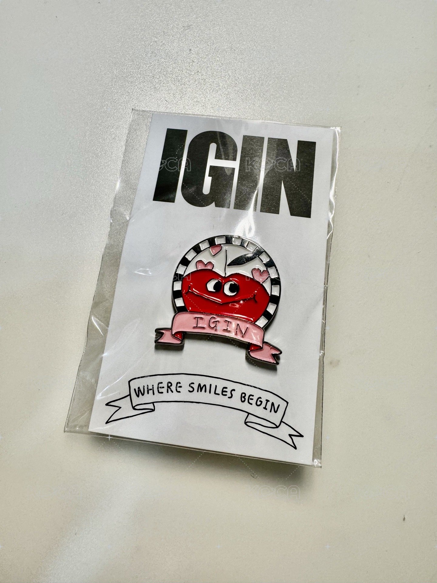 別針IGIN