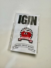 別針IGIN