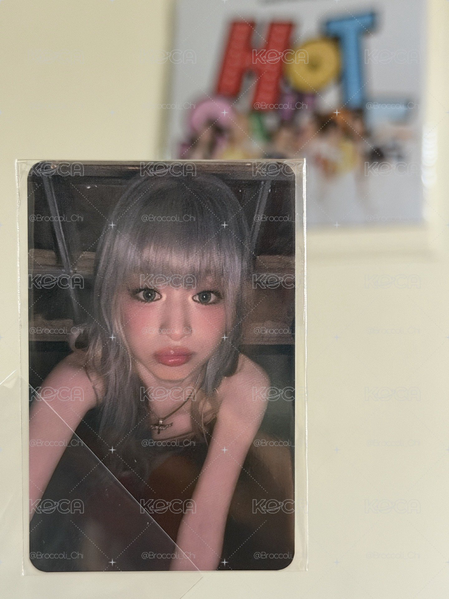 二週年豬包賢 1️⃣元起標💰