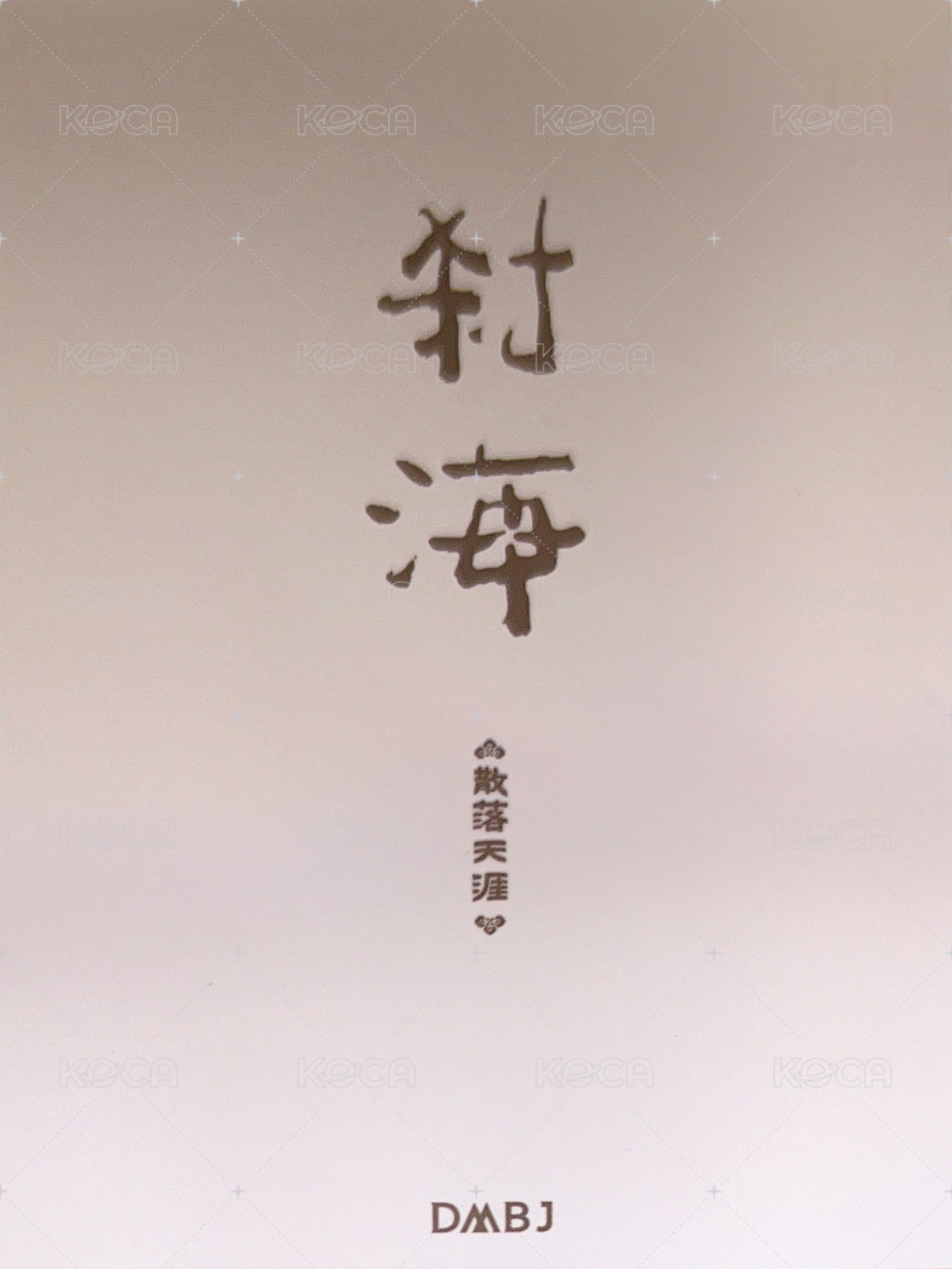 2024八一七 剎海 散落天涯 拍立得  背面