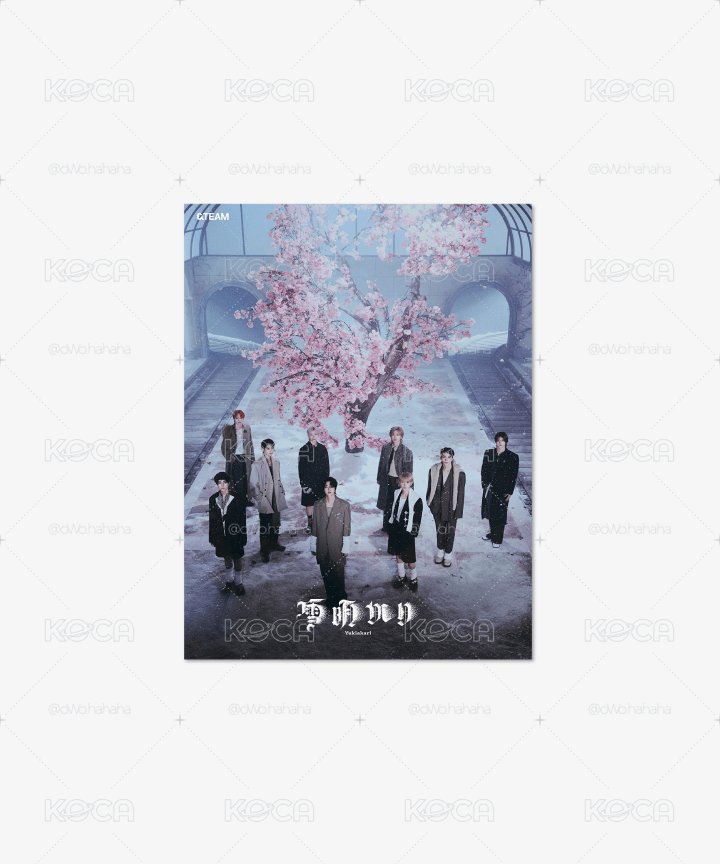 &TEAM-雪明（韓/Webirthday)差1人成團❗️