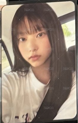 貓回憶錄卡