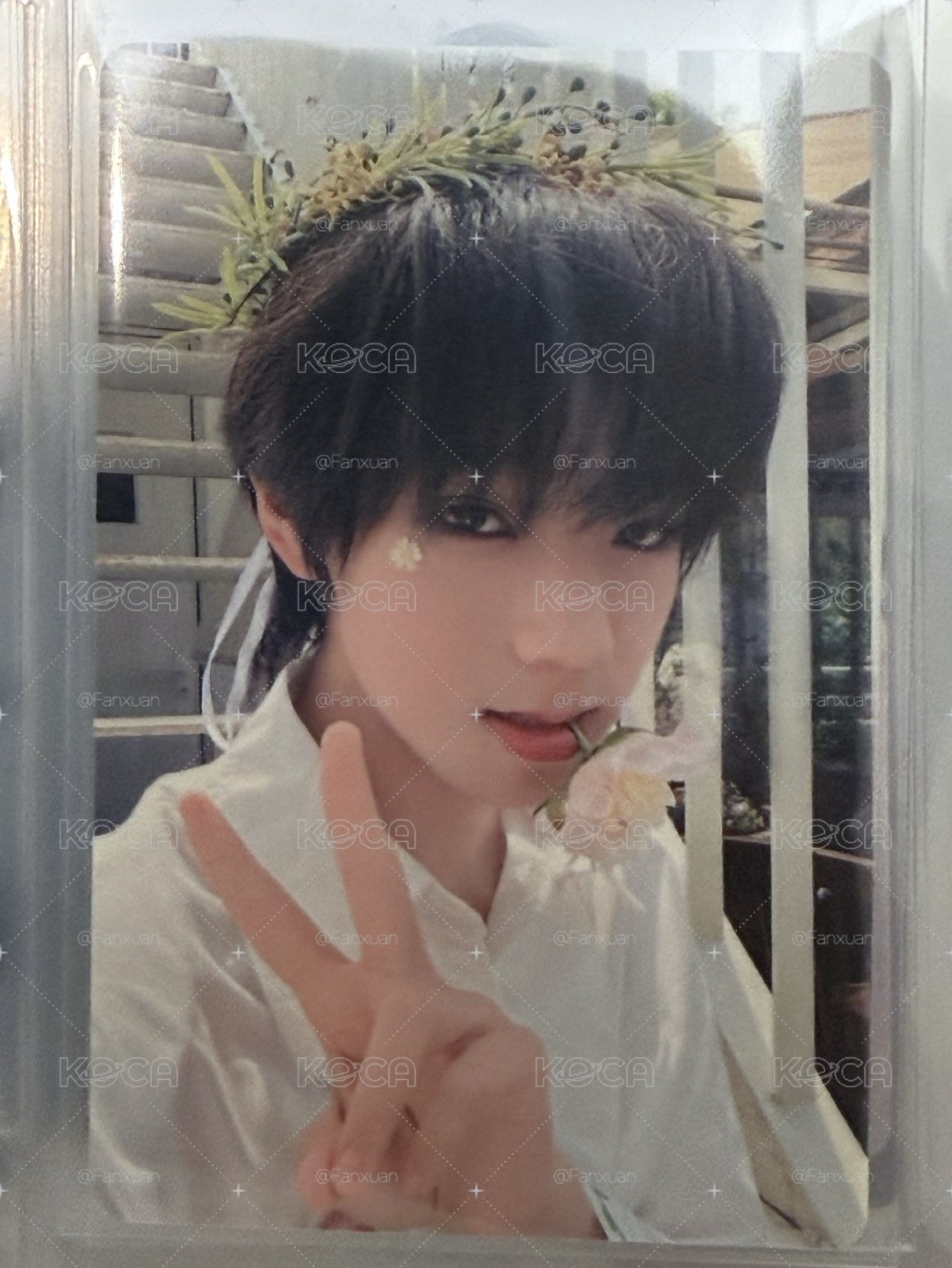 王櫓杰 奔跑一叼花吃花