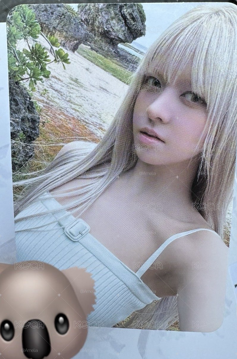 第一週打歌卡 莉