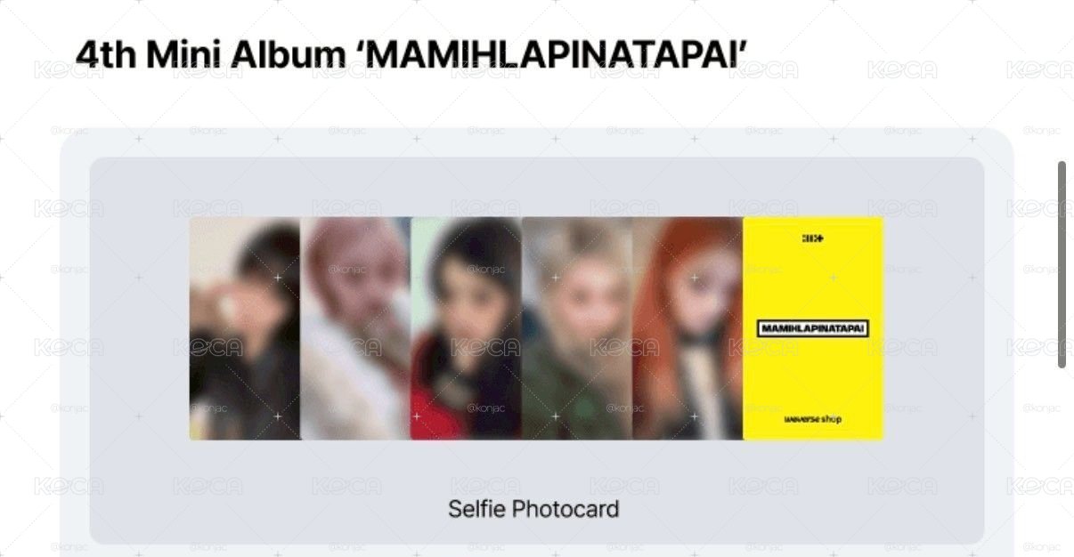 ⚪ 預購 MAMIHLAPINATAPAI wvs 預售 特典卡 PB ver.一套
