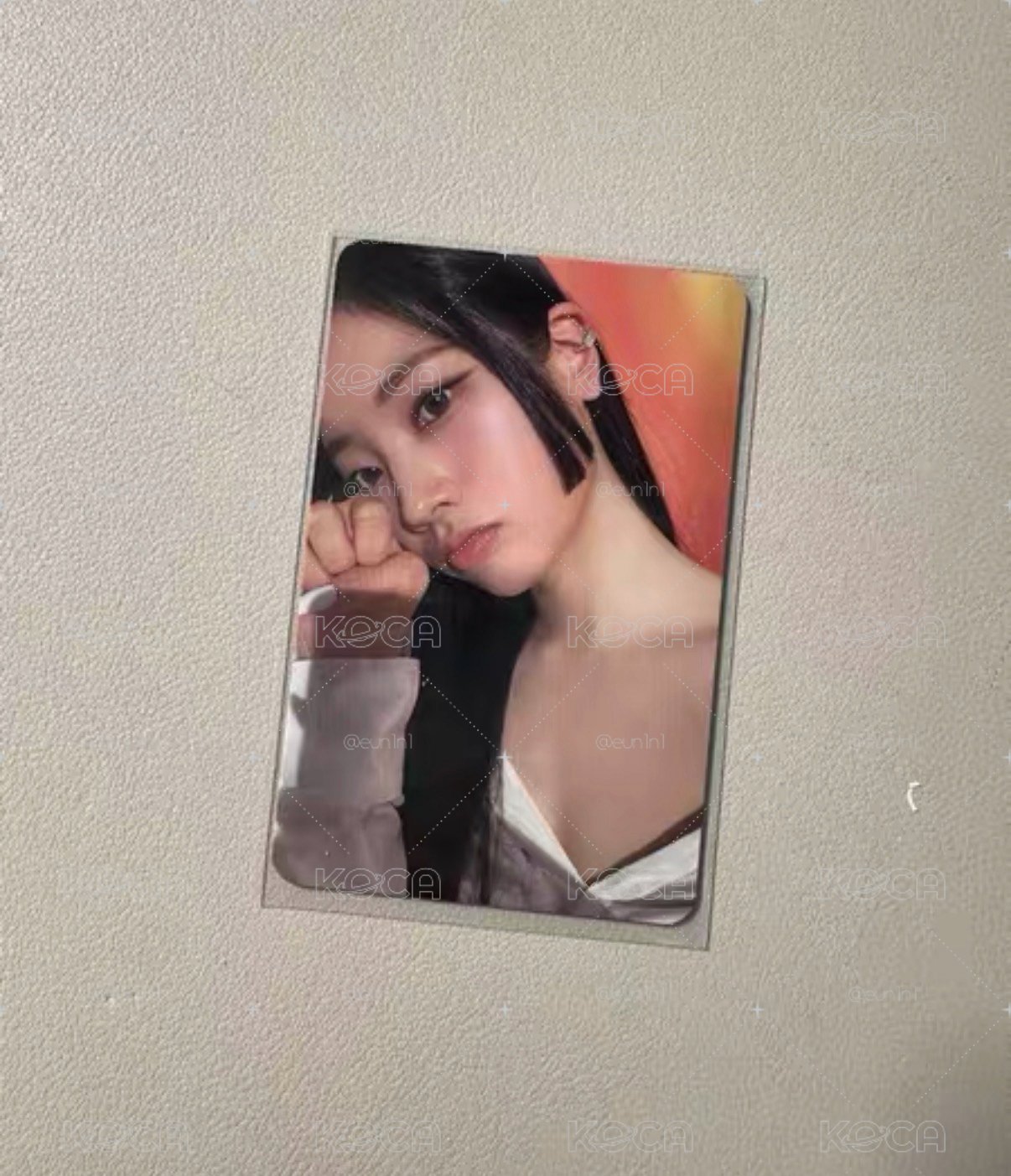 迷13豆專卡