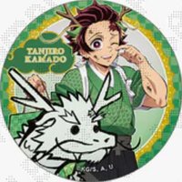 伍週年 辰年（龍年） 徽章 