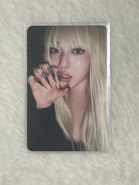 金髮貓抓寧