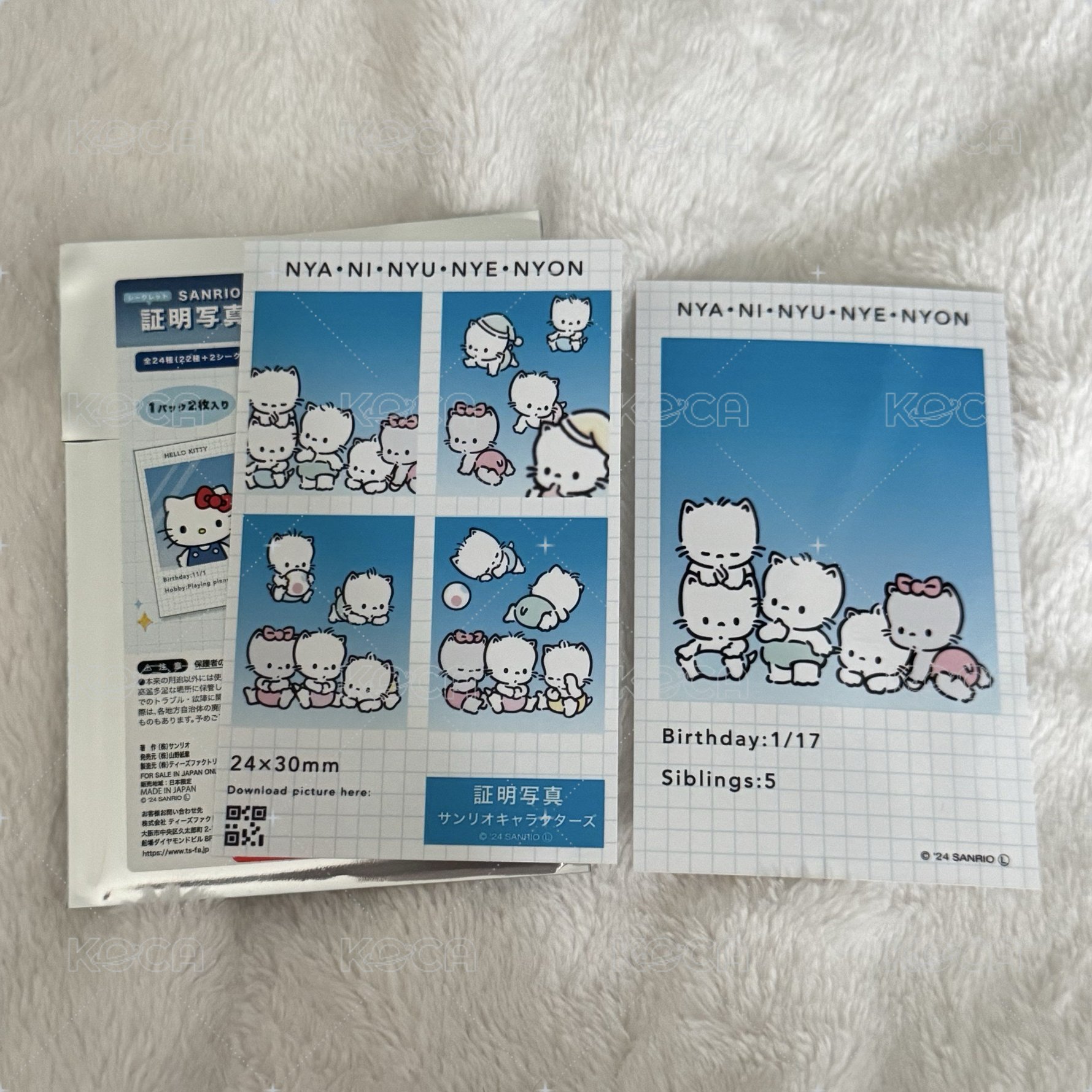 貓貓家族