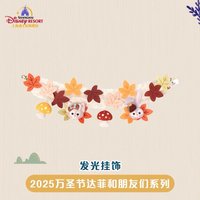 發光掛飾