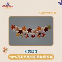發光掛飾