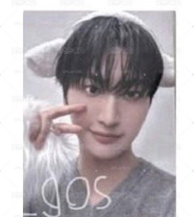 小狗小雞