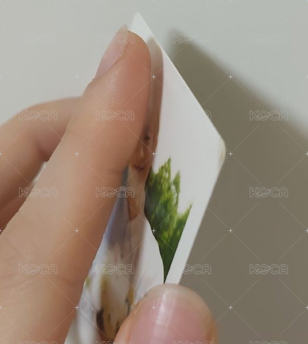 翹邊