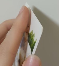 翹邊