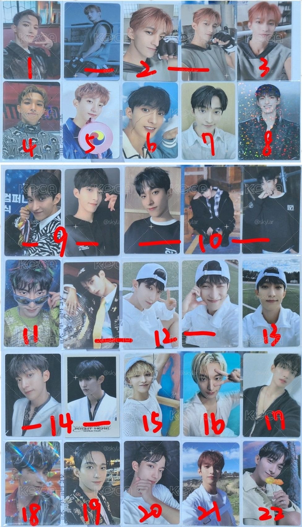SVT 碩珉-1