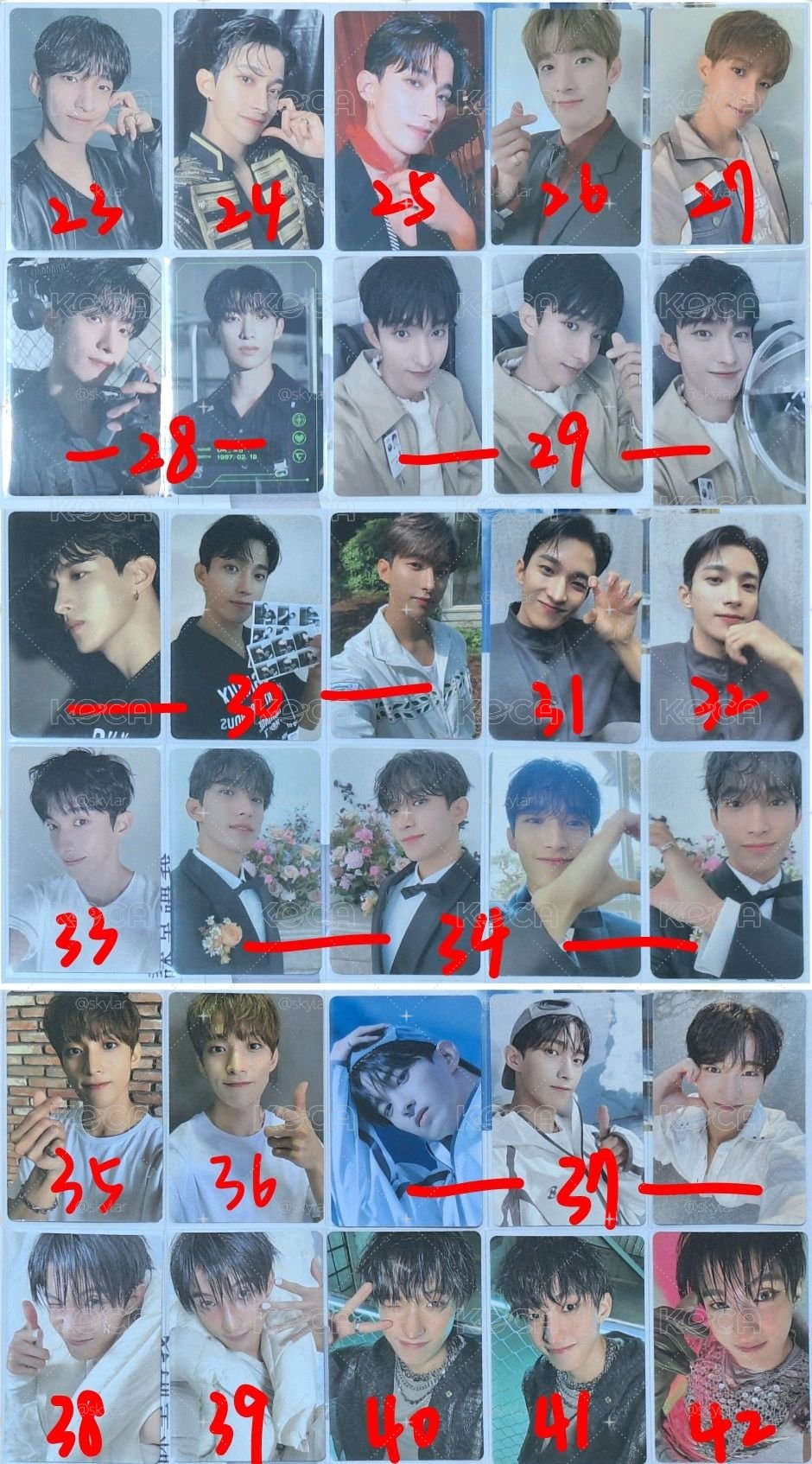 SVT 碩珉-2