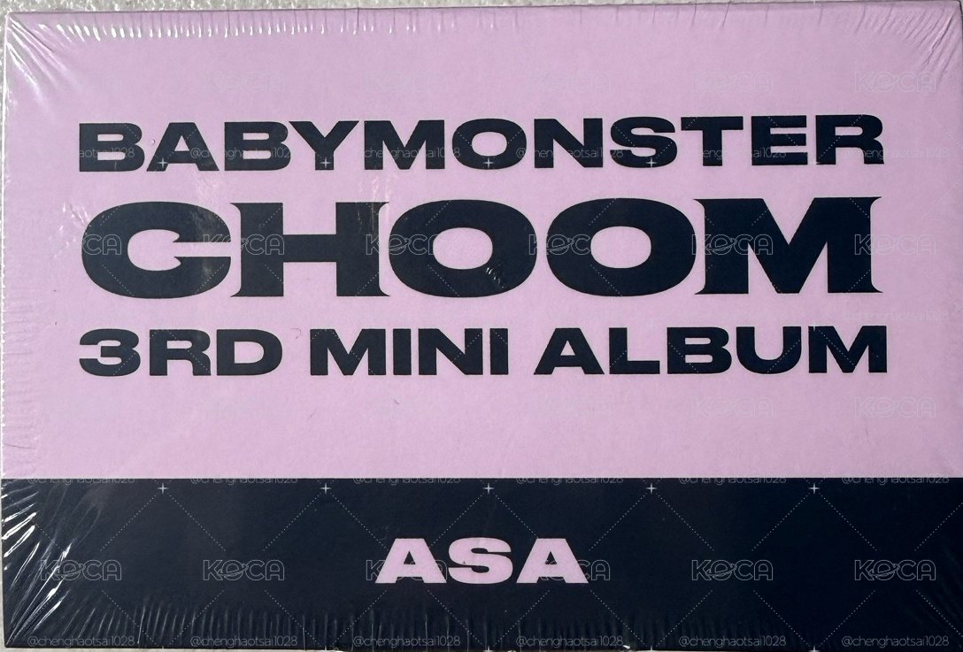 【現貨】춤 (CHOOM) 電子專 Plush Keyeing Ver. 娃專