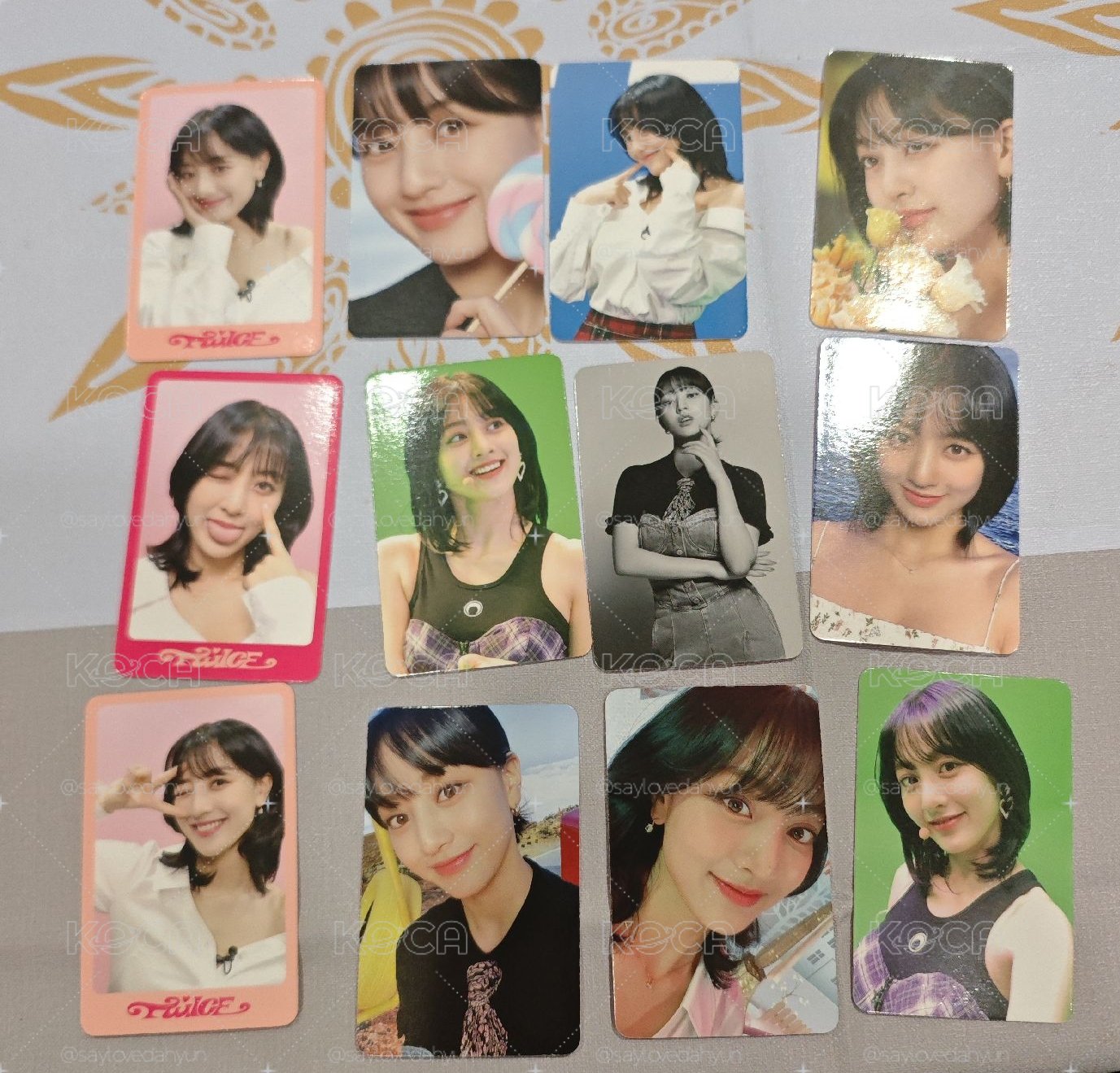 d社12張效set