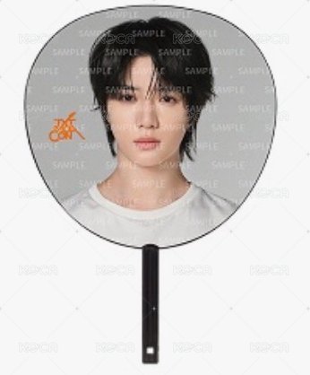 王扇（圭）