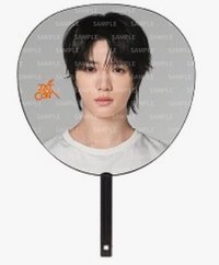 王扇（圭）