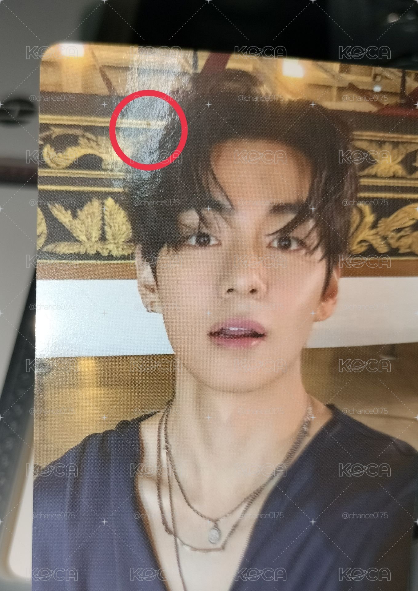 ARIRANG 高陽場限 泰亨