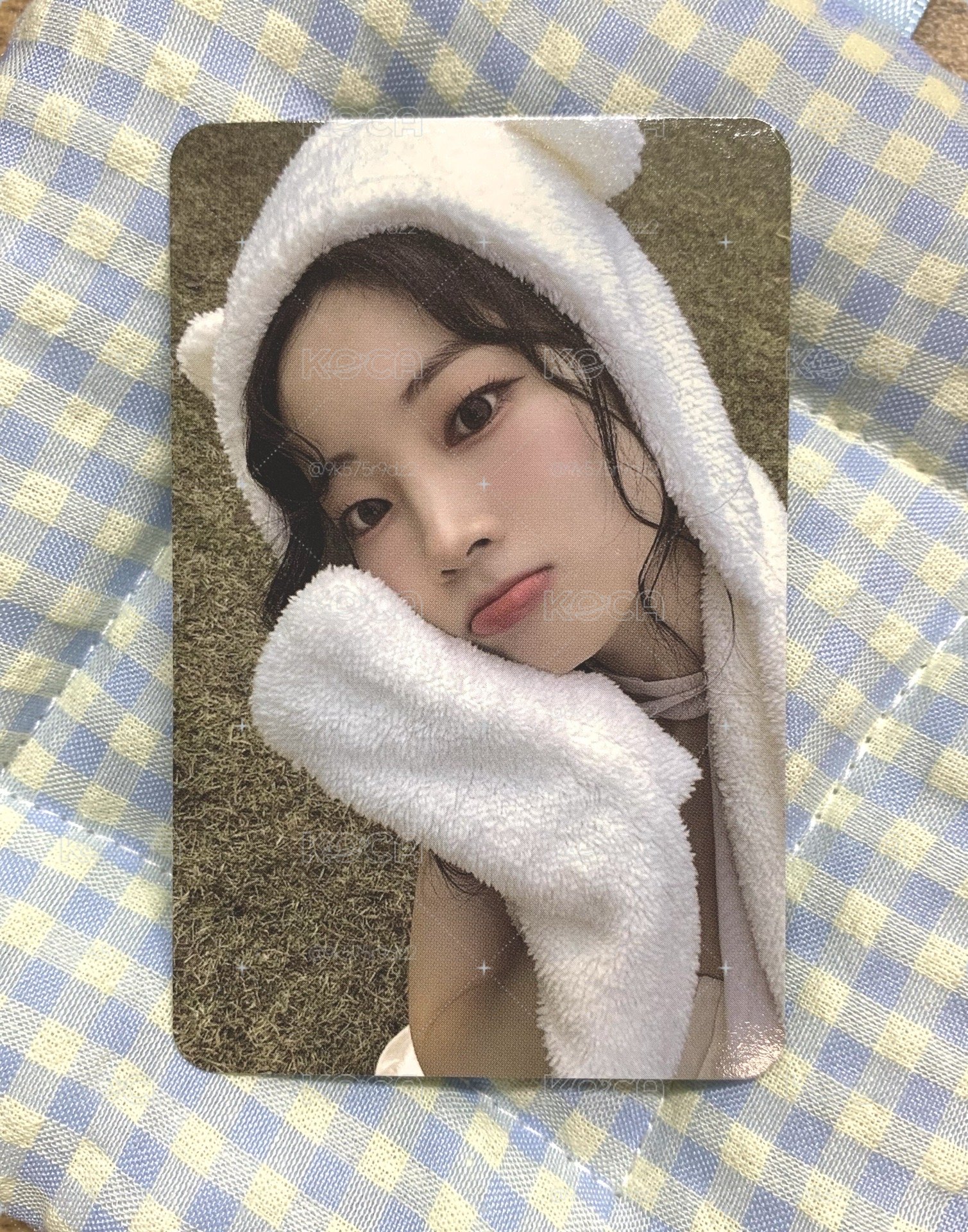 熊帽豆🐼